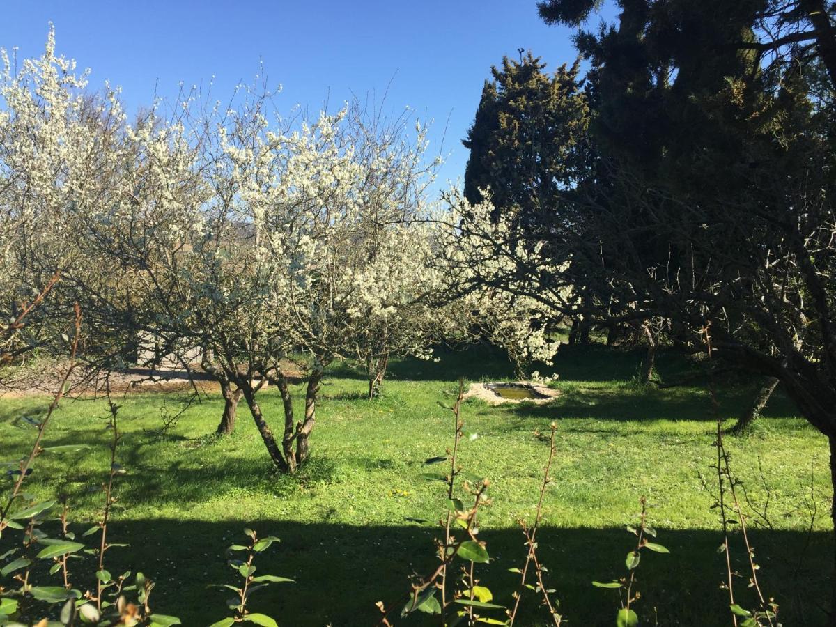 La Maison Ocre Saint-Julien-de-Briola Екстер'єр фото